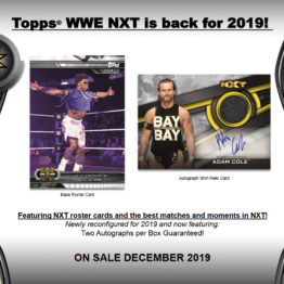 2019 Topps WWE NXT Wrestling Hobby Box