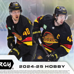 2024-25 Upper Deck Synergy Hockey Hobby Box
