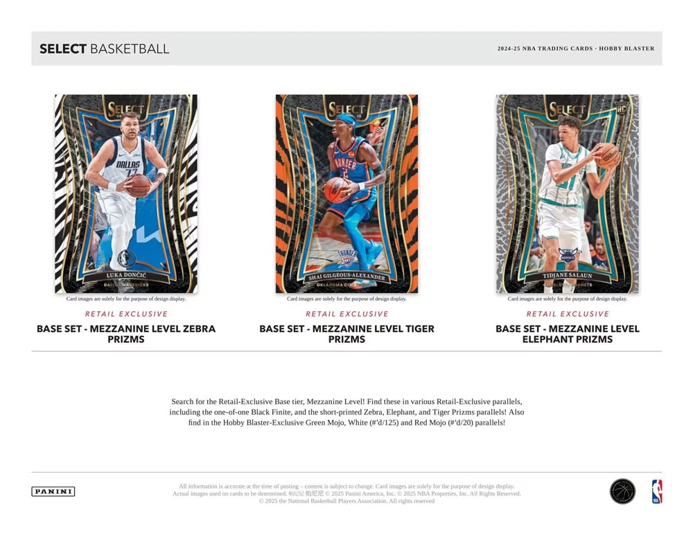 select basketball blaster6