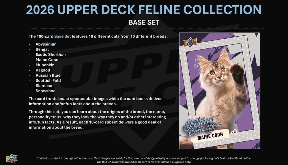 26FelineHobby3