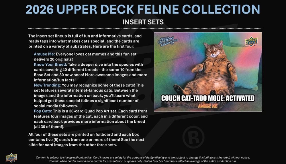 26FelineHobby5