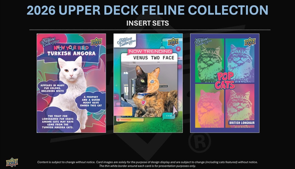 26FelineHobby6
